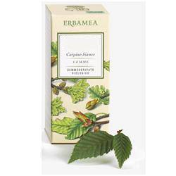 FRAXINUS EXCELS GEMME GEMMODER - Lovesano 