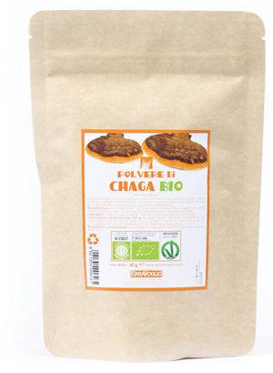 CHAGA POLVERE BIO 60G - Lovesano 