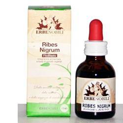 FITOBLASTO RIBES NIGRUM 50ML - Lovesano 