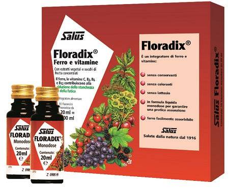 FLORADIX-FERRO 10 FLACONCINI20ML - Lovesano 