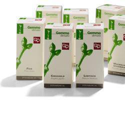 FICO RADICHETTE 100ML MG FITOM - Lovesano 