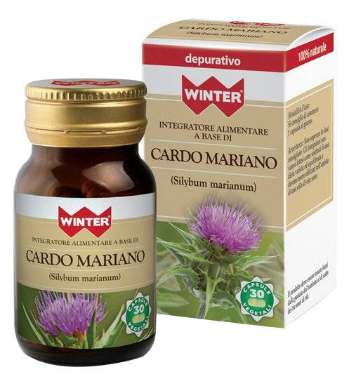 WINTER CARDO MARIANO 30CPS VEG - Lovesano 