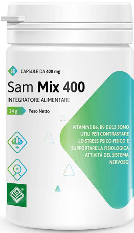 SAM MIX 400 60CPS - Lovesano 