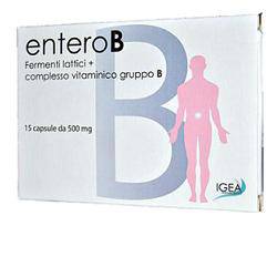 ENTEROB IMMUNO 15CPS 500MG - Lovesano 