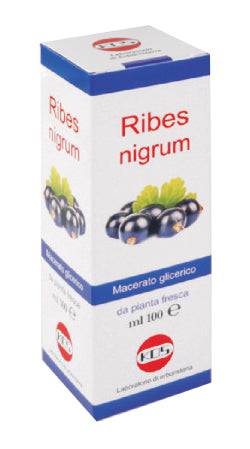 RIBES NIGRUM MG 100ML GTT KOS - Lovesano 