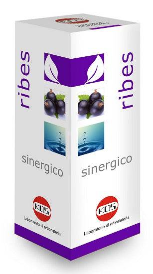 RIBES SINERGICO GTT 100ML - Lovesano 