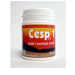 CESP1 INT POLV 60G - Lovesano 