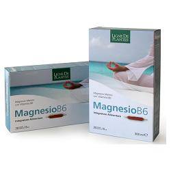 MAGNESIO B6 20AB 15ML - Lovesano 