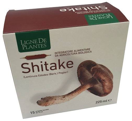 LIGNE SHITAKE BIO 15AMP 15ML - Lovesano 