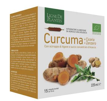 CURCUMA CICORIA ZENZERO 15FLL - Lovesano 