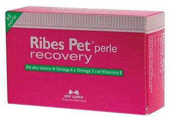 RIBES PET RECOVERY 60PRL - Lovesano 