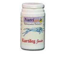 KARTILEG J 30TAV - Lovesano 