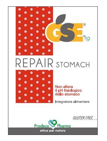 GSE REPAIR 45CPR - Lovesano 