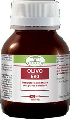 OLIVO 580 60CPS - Lovesano 