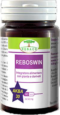 REBOSWIN 60CPS RE.NA.CO. - Lovesano 