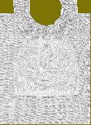 COLLARE TRAF+PROT U AZ 1+P BI - Lovesano 