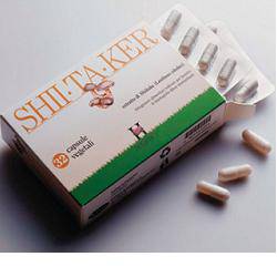 SHIITAKER HOLISTICA 100CPS - Lovesano 