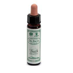 AINSWORTHS BEECH 10ML - Lovesano 