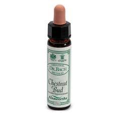 AINSWORTHS CHESTNUT BUD 10ML - Lovesano 