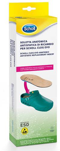 CLOG EVO ANAT ANT INS MIC40-41 - Lovesano 