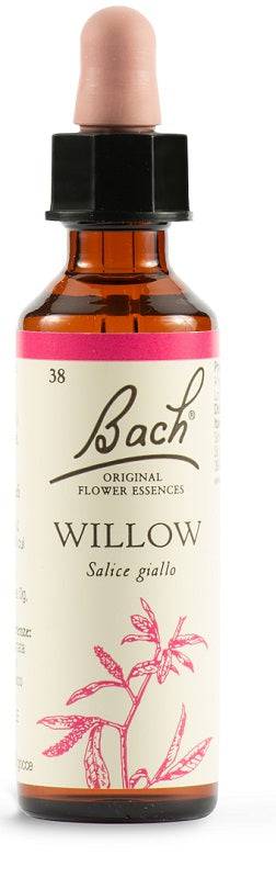 WILLOW BACH ORIG 38 20ml - Lovesano 