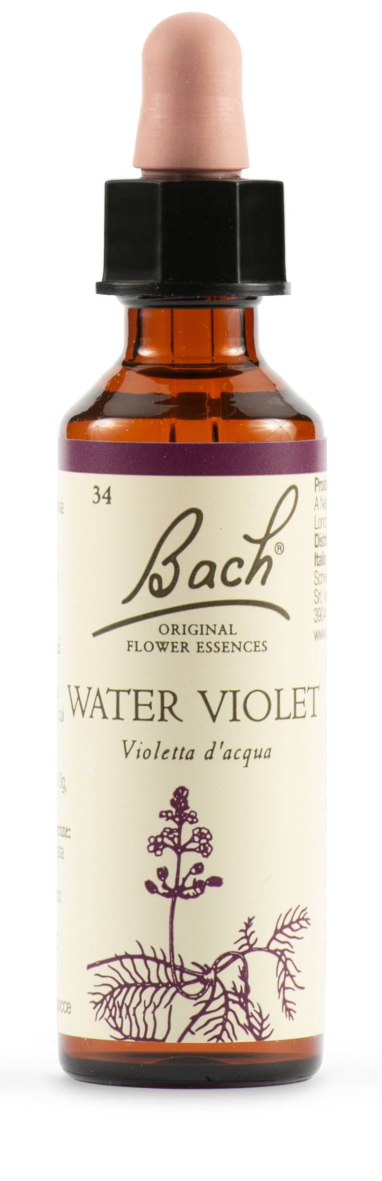 WATER VIOL BACH ORIG 20ML - Lovesano 