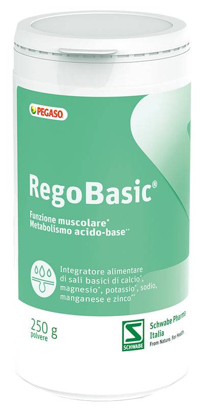 REGOBASIC POLVERE 250G - Lovesano 