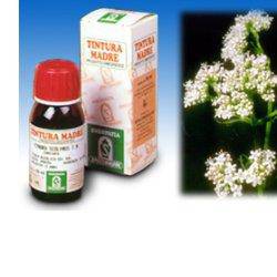 VALERIANA 36 50ML TM SPECCH - Lovesano 