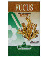 FUCUS ERBE 150TAV SPECCH - Lovesano 