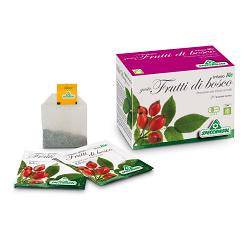 INFUSO BIO FRUTTA BOSCO 20FILT - Lovesano 