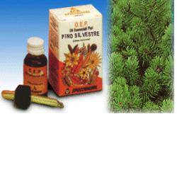 PINO SILVESTRE OE PURO 10ML - Lovesano 