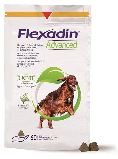 FLEXADIN ADVANCED 60TAV MASTIC - Lovesano 