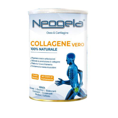 NEOGELA POLVERE 400GR ZETA 92 - Lovesano 